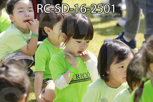RC-SD-16-2501.jpg