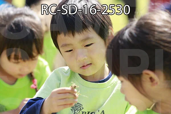 RC-SD-16-2530.jpg