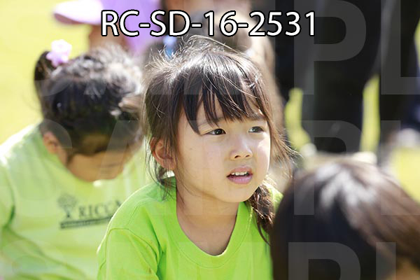 RC-SD-16-2531.jpg