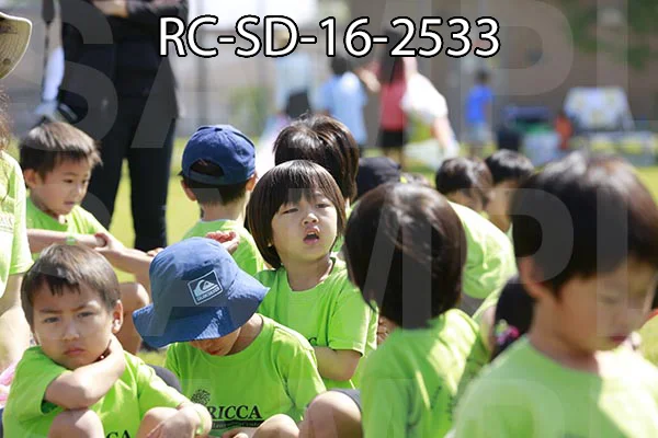 RC-SD-16-2533.jpg
