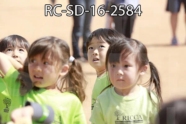 RC-SD-16-2584.jpg