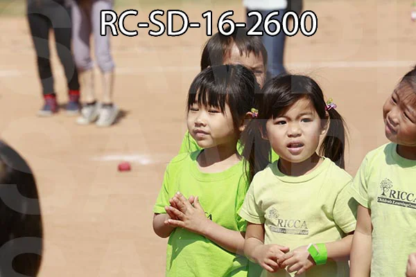 RC-SD-16-2600.jpg