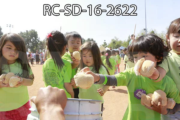 RC-SD-16-2622.jpg