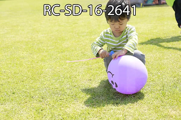 RC-SD-16-2641.jpg