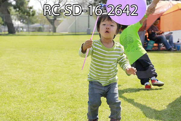 RC-SD-16-2642.jpg
