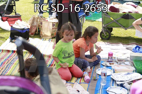 RC-SD-16-2653.jpg