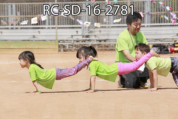 RC-SD-16-2781.jpg