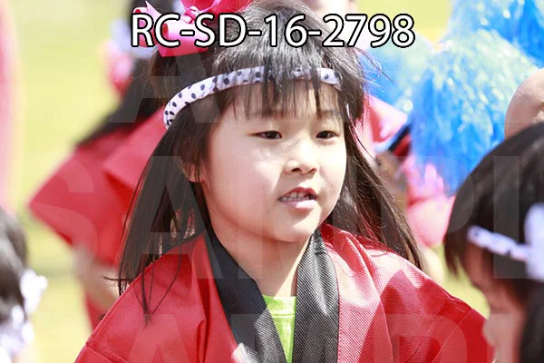 RC-SD-16-2798.jpg