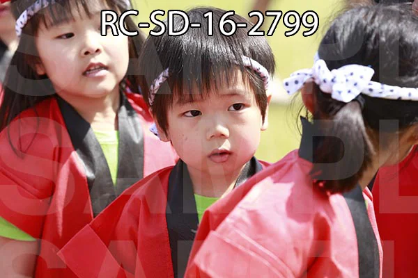 RC-SD-16-2799.jpg