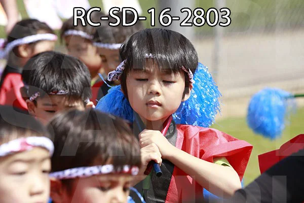 RC-SD-16-2803.jpg