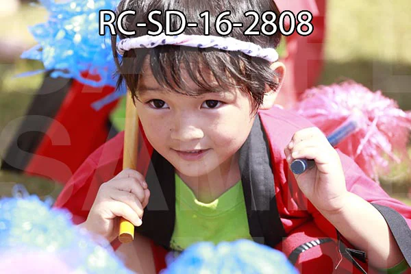 RC-SD-16-2808.jpg