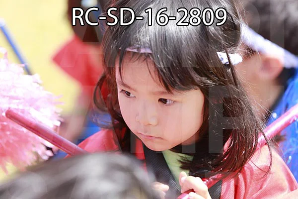 RC-SD-16-2809.jpg