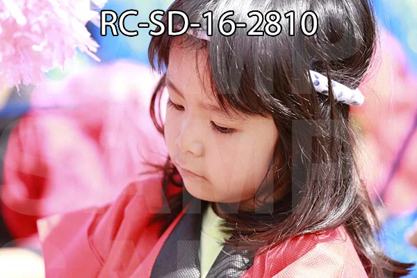 RC-SD-16-2810.jpg