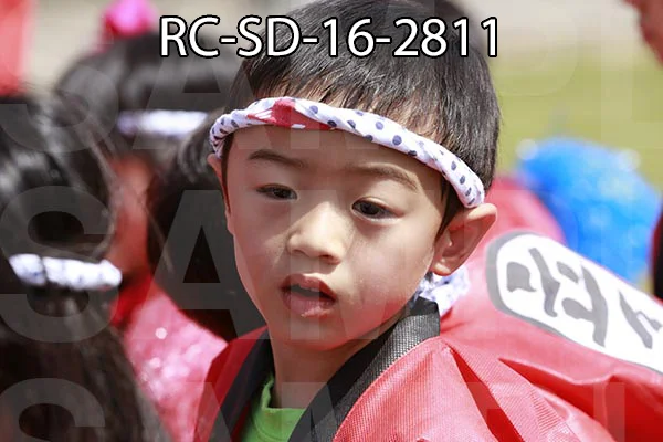 RC-SD-16-2811.jpg