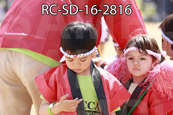 RC-SD-16-2816.jpg
