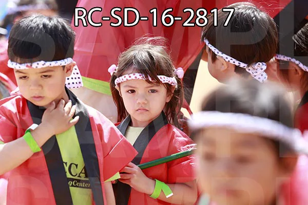 RC-SD-16-2817.jpg