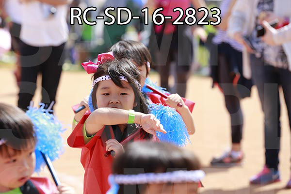 RC-SD-16-2823.jpg
