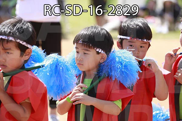 RC-SD-16-2829.jpg