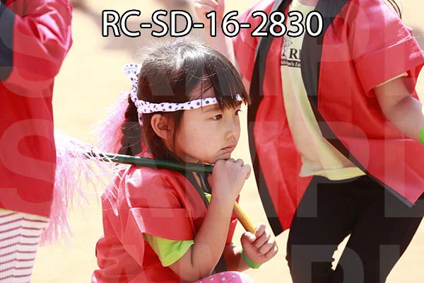RC-SD-16-2830.jpg