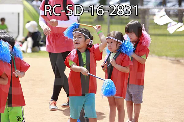 RC-SD-16-2831.jpg