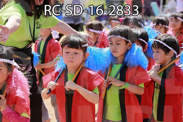 RC-SD-16-2833.jpg