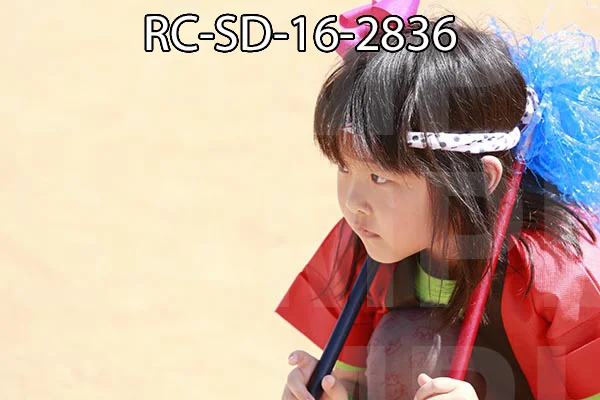 RC-SD-16-2836.jpg