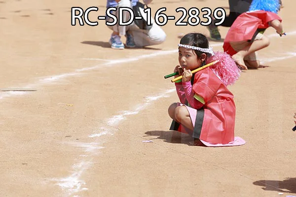 RC-SD-16-2839.jpg