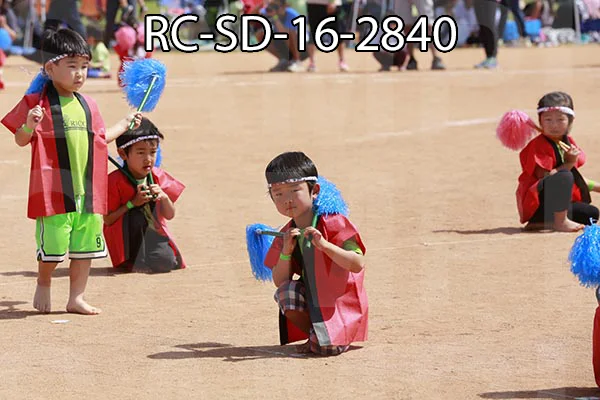 RC-SD-16-2840.jpg