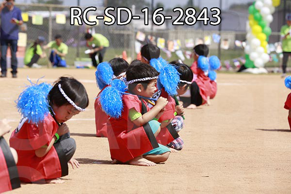 RC-SD-16-2843.jpg