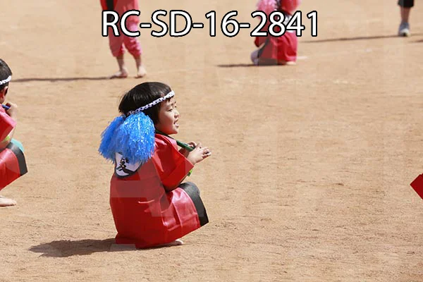 RC-SD-16-2841.jpg