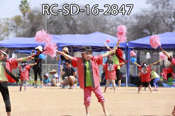 RC-SD-16-2847.jpg