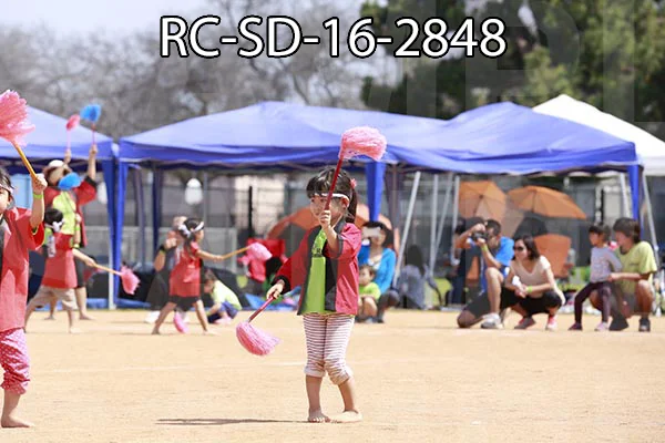 RC-SD-16-2848.jpg