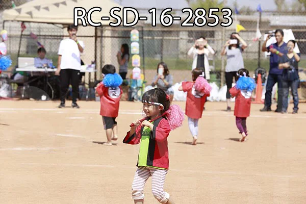 RC-SD-16-2853.jpg
