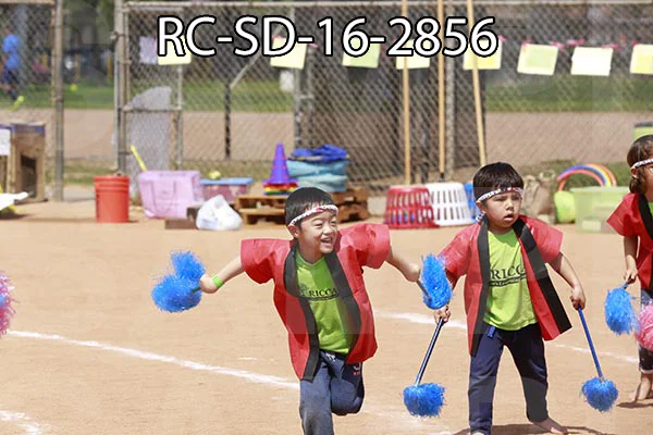 RC-SD-16-2856.jpg