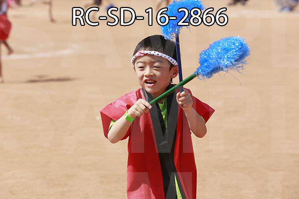 RC-SD-16-2866.jpg