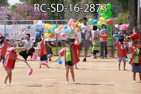 RC-SD-16-2873.jpg