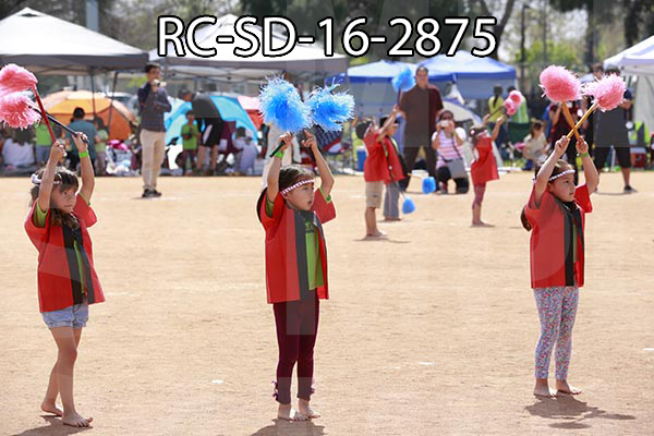 RC-SD-16-2875.jpg