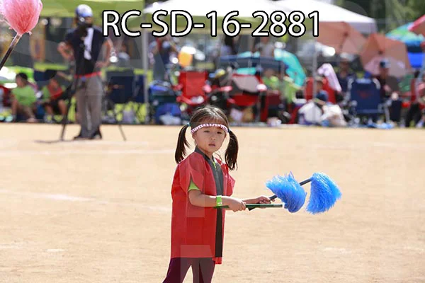 RC-SD-16-2881.jpg