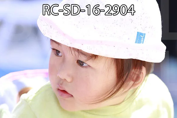 RC-SD-16-2904.jpg