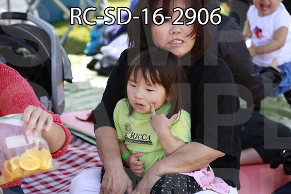 RC-SD-16-2906.jpg