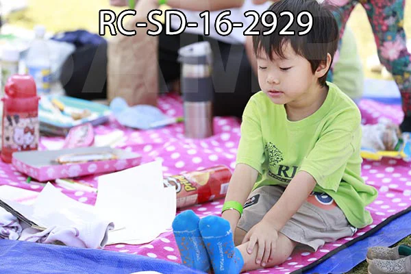 RC-SD-16-2929.jpg