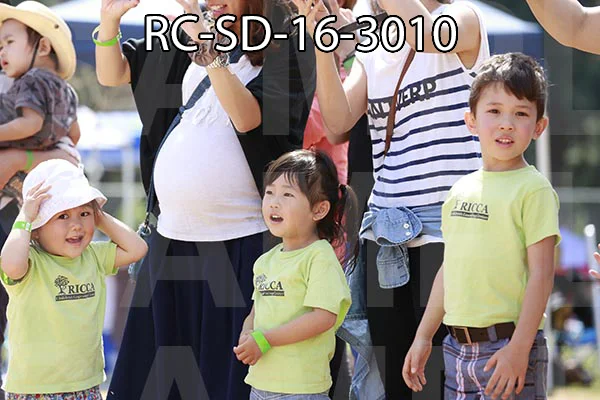 RC-SD-16-3010.jpg