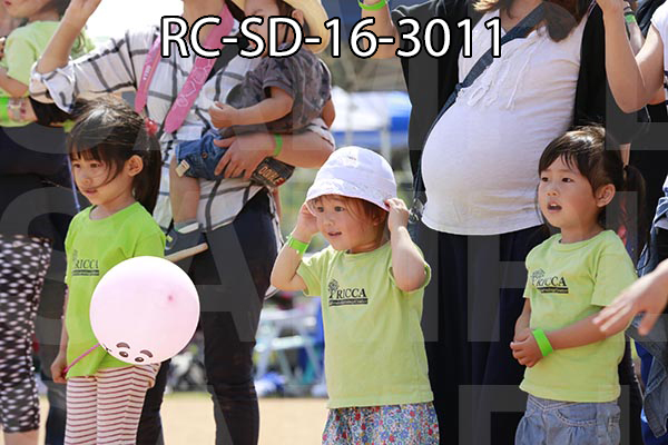 RC-SD-16-3011.jpg