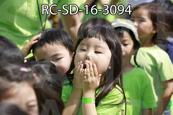 RC-SD-16-3094.jpg