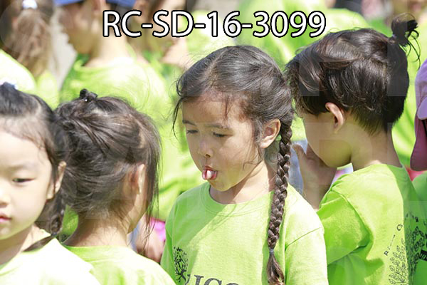 RC-SD-16-3099.jpg