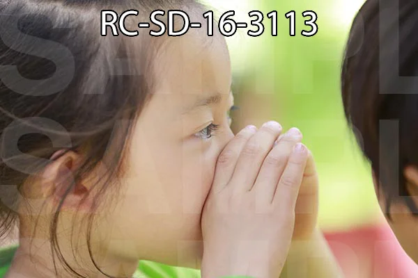 RC-SD-16-3113.jpg