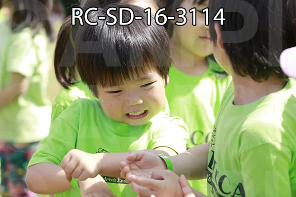 RC-SD-16-3114.jpg