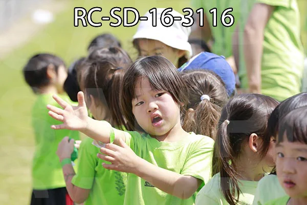 RC-SD-16-3116.jpg