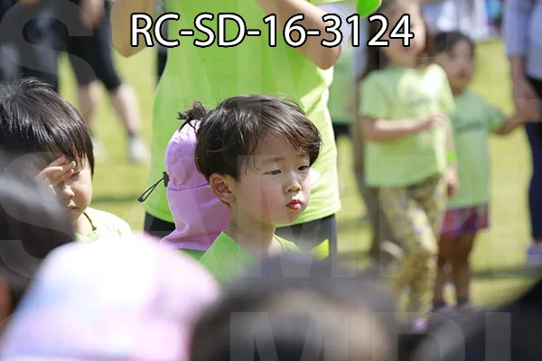RC-SD-16-3124.jpg
