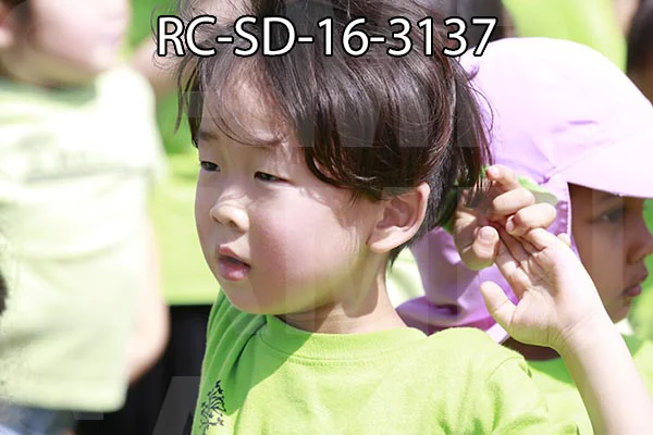 RC-SD-16-3137.jpg